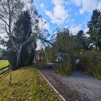 FW-EN: Sturmschaden an der Kleinbeckstraße