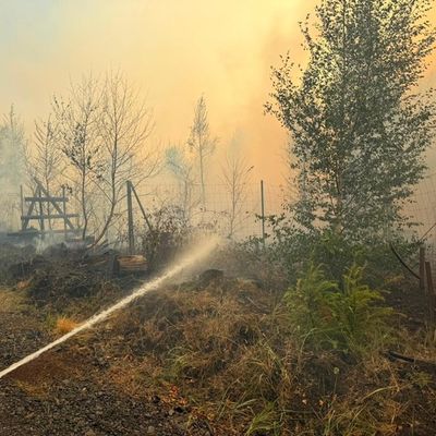 FW Kreis Soest: Waldbrand am Möhnesee aktuell unter Kontrolle / 58.000qm Wald betroffen.