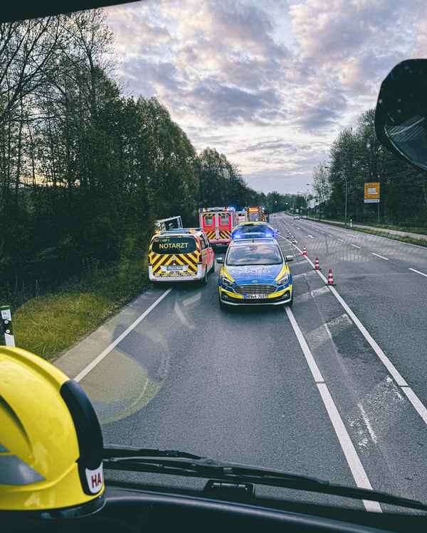 FW-DT: Alleinunfall mit LKW