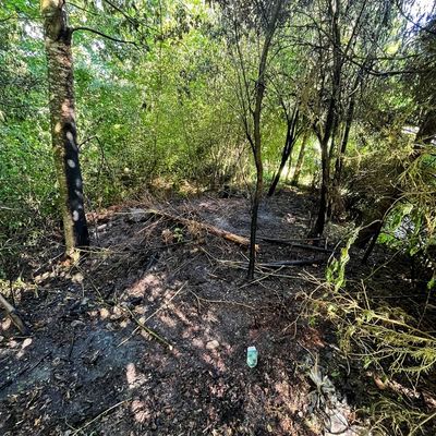 FW Stockach: Brennendes Gebüsch