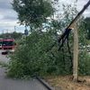 FW-M: Wochenendrückblick der Feuerwehr München für den 4. bis 6. Juli 2026