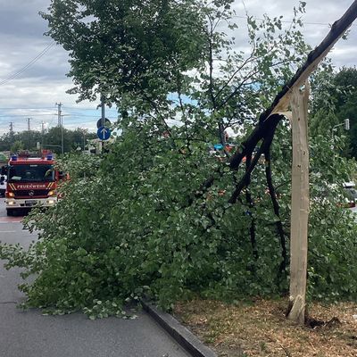 FW-M: Wochenendrückblick der Feuerwehr München für den 4. bis 6. Juli 2026