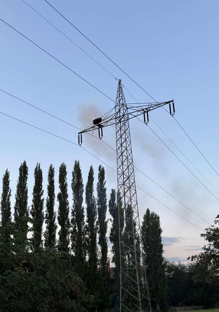 FW-OG: Leeres Storchennest brennt auf Hochspannungsmast