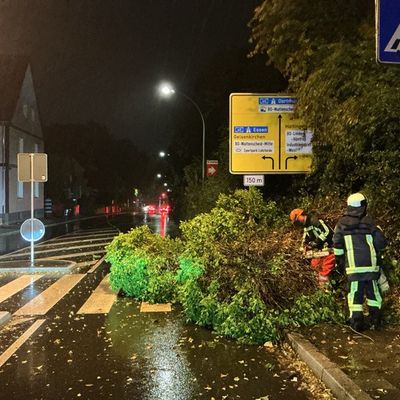 FW-BO: Sturmtief "Luise" sorgt für weitere wetterbedingte Einsätze