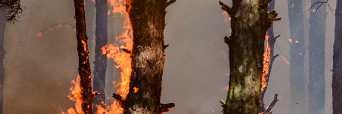 FW Dresden: Informationen zum Einsatzgeschehen von Feuerwehr und Rettungsdienst in der Landeshauptstadt Dresden vom 10. August 2026