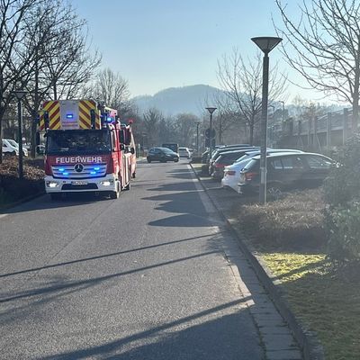 FW Weinheim: Feuerwehr Weinheim bei Brandmeldealarm und Rettungsdiensteinsatz gefordert