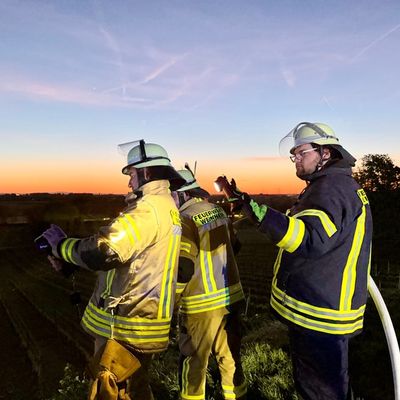 FW Weinheim: Feuer im Weinberg - Weinheimer Feuerwehr stoppt Flammen im Abendrot