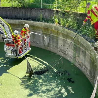 FW Lehrte: Zwei weitere Einsätze im Lehrter Stadtgebiet nach dem Großbrand in den Morgenstunden