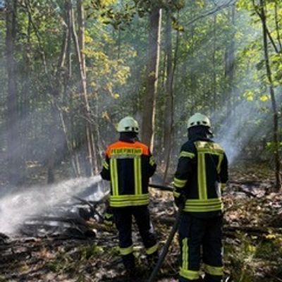 FW-ROW: Wald gerät in Brand in Kirchtimke