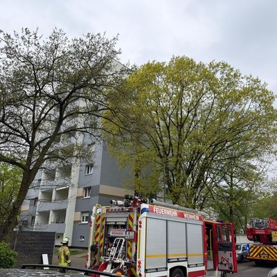 FW Weinheim: Brandmeldeanlage und Feuermeldung fordern die Feuerwehr Weinheim