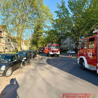 FW-RE: Wohnungsbrand in voller Ausdehnung - zwei Katzen aus der Wohnung gerettet - keine Personen verletzt