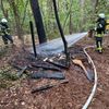 FW-ROW: Schuppen in Waldstück vollständig ausgebrannt