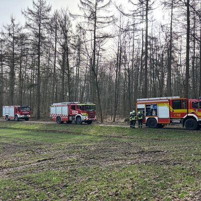 FW-GLA: Feuerwehr Gladbeck nimmt an Waldbrandübung im Waldgebiet Haard teil