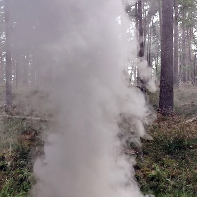 FW Lüchow-Dannenberg: +++ Waldbrandübung in Lüchow-Dannenberg +++ Feldbrand bei Clenze breitet sich aus +++ Insgesamt 8ha Waldgebiet betroffen +++ Feuerwehr hat Probleme mit engen und zugewachsenen Wegen +++