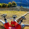 LfBK RLP: Sommerferien in Rheinland-Pfalz: Einsatzkräfte durch Brände, Wasserrettungen und einzelne Unwetter stark gefordert