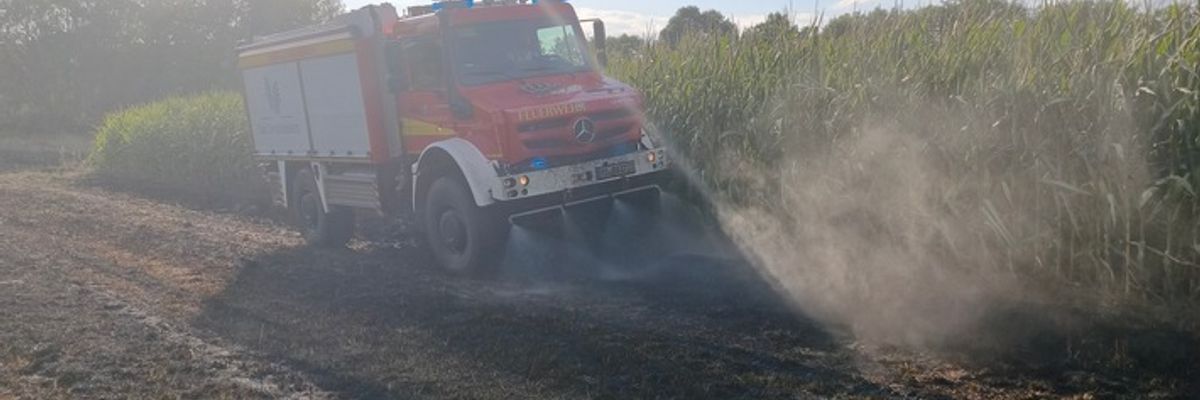 FW Bad Oeynhausen: Flächenbrand zwischen Werre Park und Werre