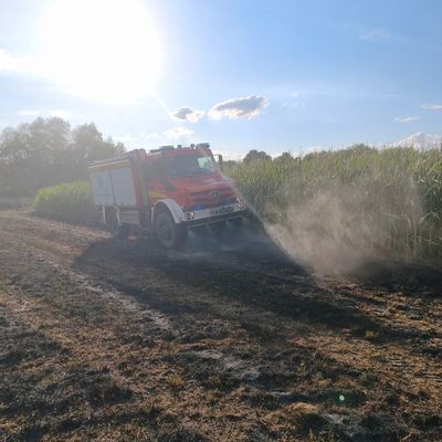 FW Bad Oeynhausen: Flächenbrand zwischen Werre Park und Werre