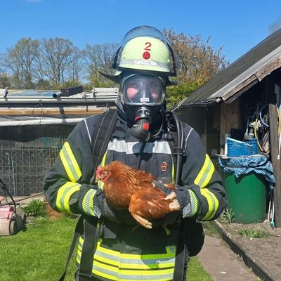 FW Celle: Mehrere Gartenlauben brennen in Vollbrand - Feuerwehr rettet Hühner!