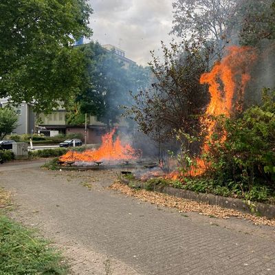 FW-OB: Vegetationsbrand an Kreuzung erfolgreich gelöscht - Ausbreitung verhindert