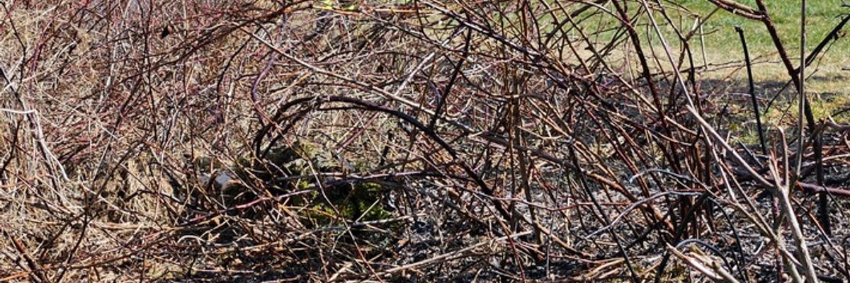 FW Wenden: Frühe Brandgefahr - Vorsicht vor Wald- & Vegetationsbränden in bevorstehenden Sommerhitze