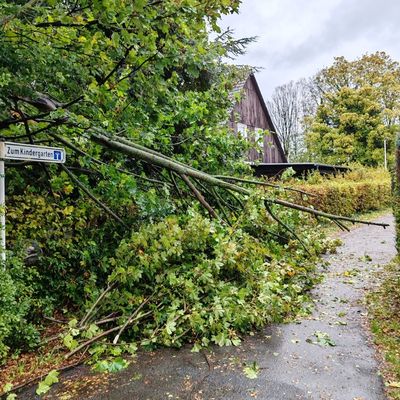 FW Minden: Sturmtief Manja bescherte mehrere Einsätze