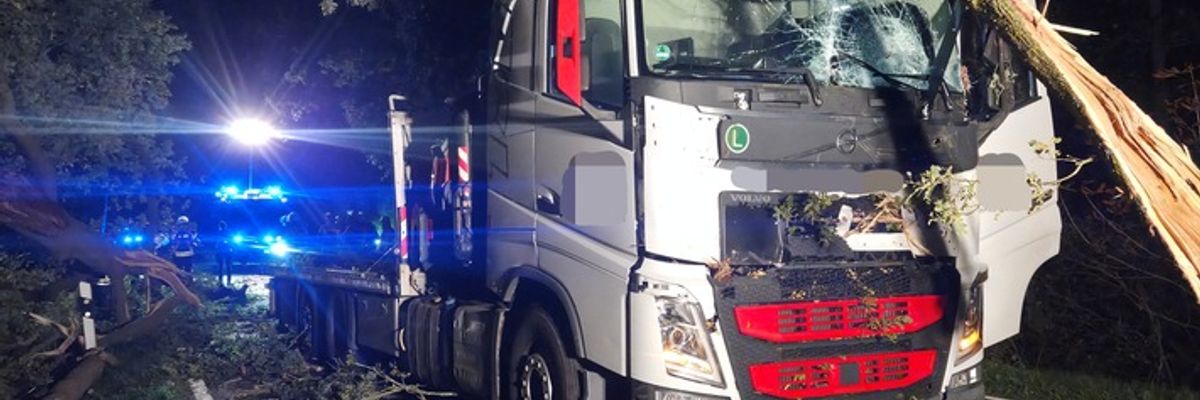 FW-ROW: Großer Ast trifft fahrenden LKW auf L161