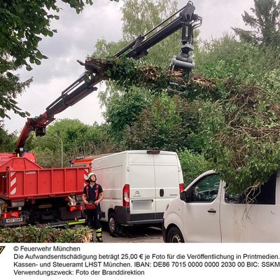FW-M: Umgestürzter Baum erfordert schweres Gerät (Lochhausen)