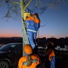 FW Beverungen: Jugendfeuerwehr Herstelle engagiert sich im Naturschutz / Zwölf Vogelnisthilfen für die heimische Natur