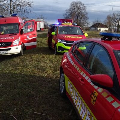 FW Reichenau: Person aus dem Ententeich gerettet, Reichenau-Lindenbühl, 03.02.2026