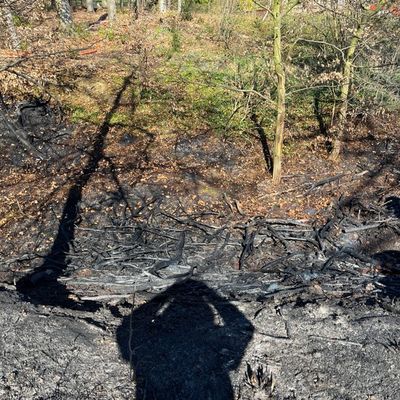 FW Hüllhorst: Waldbrand- und Flächenbrand in Hüllhorst Gemeldeter Wohnungsbrand 03. + 04.04.2025