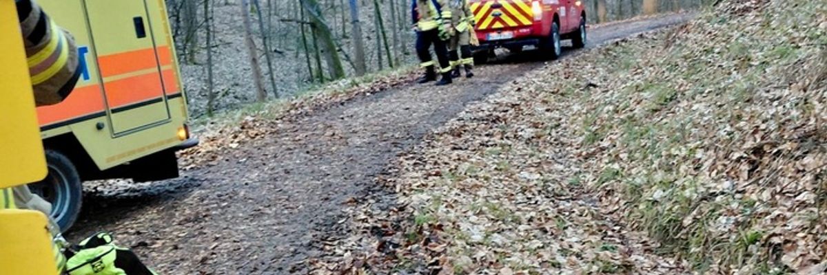 FW Weinheim: Schwerer Reitunfall im Wald - Einsatzkräfte retten Patientin unter schwierigen Bedingungen