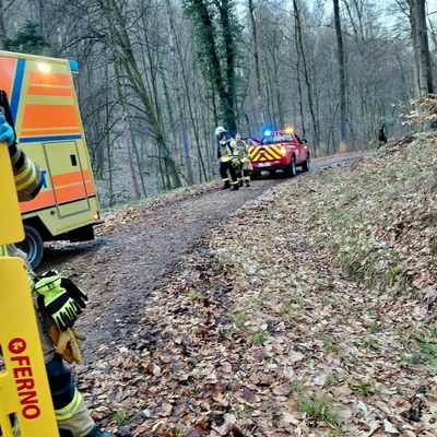 FW Weinheim: Schwerer Reitunfall im Wald - Einsatzkräfte retten Patientin unter schwierigen Bedingungen