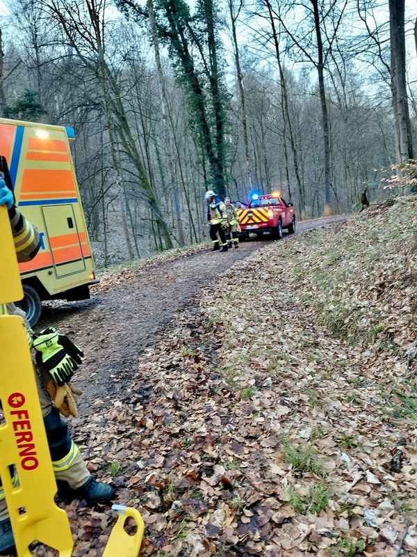 FW Weinheim: Schwerer Reitunfall im Wald - Einsatzkräfte retten Patientin unter schwierigen Bedingungen