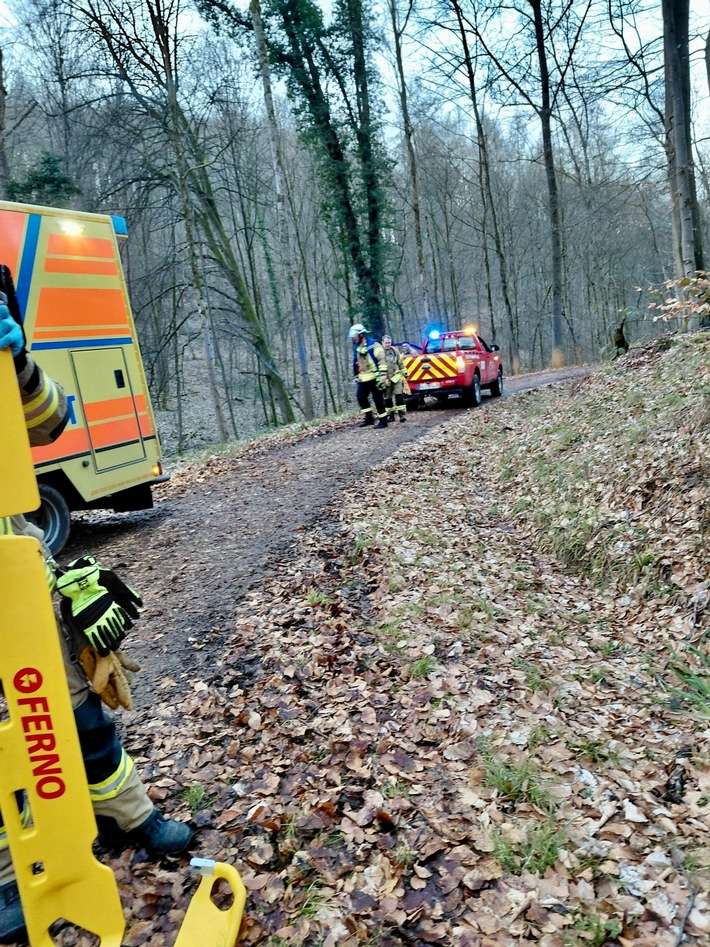 FW Weinheim: Schwerer Reitunfall im Wald - Einsatzkräfte retten Patientin unter schwierigen Bedingungen