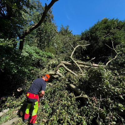 FW-BO: Nächtlicher Sturm beschäftigt die Feuerwehr bis zum Nachmittag!