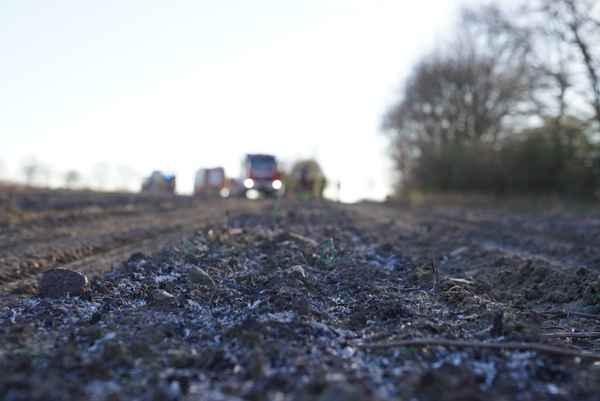 FW-SE: Zwei Hektar Feld in Flammen