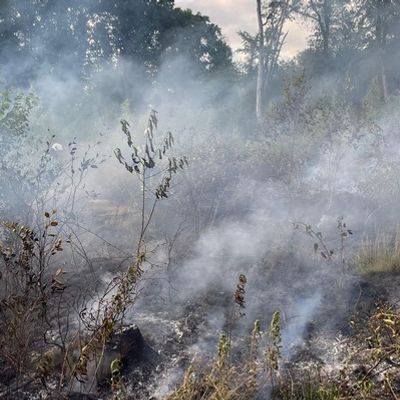 FW-EN: Waldbrand kann unter Kontrolle gebracht werden