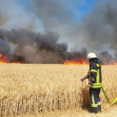 FW Helmstedt: 3 Hektar Getreidfeld in Flammen