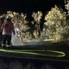 Feuerwehr Weil: Arbeitsreiches Wochenende für die Feuerwehr Weil am Rhein