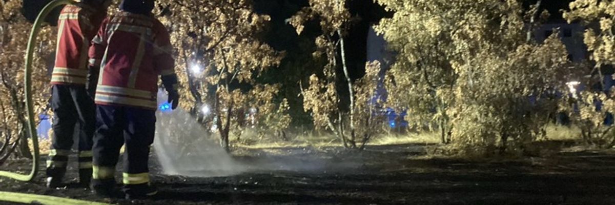 Feuerwehr Weil: Arbeitsreiches Wochenende für die Feuerwehr Weil am Rhein