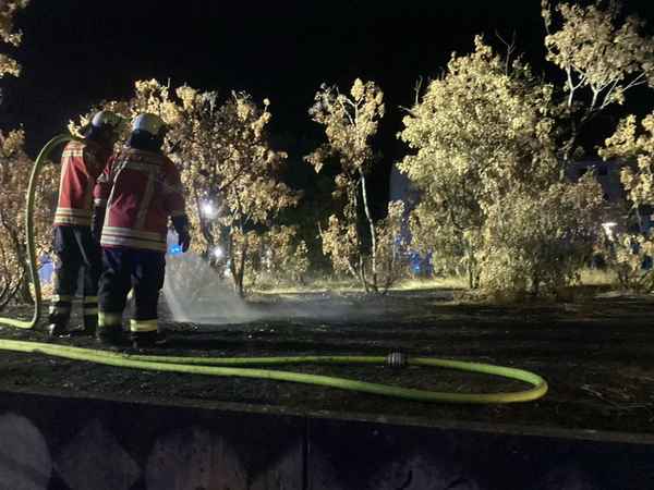 Feuerwehr Weil: Arbeitsreiches Wochenende für die Feuerwehr Weil am Rhein
