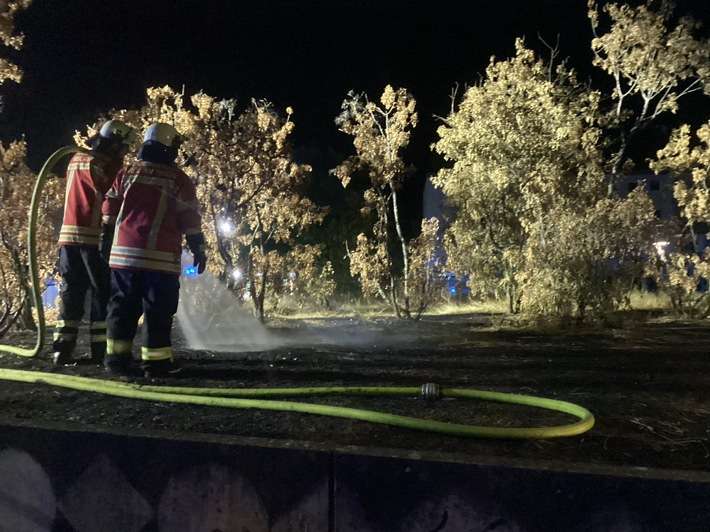 Feuerwehr Weil: Arbeitsreiches Wochenende für die Feuerwehr Weil am Rhein