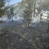 FW-Velbert: Waldbrand in Velbert-Neviges