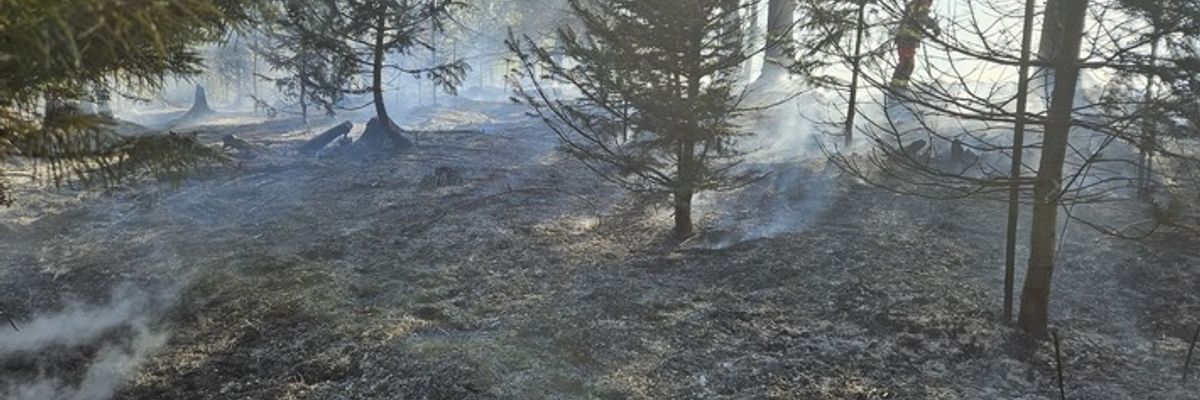 FW-Velbert: Waldbrand in Velbert-Neviges