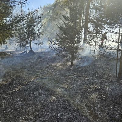 FW-Velbert: Waldbrand in Velbert-Neviges