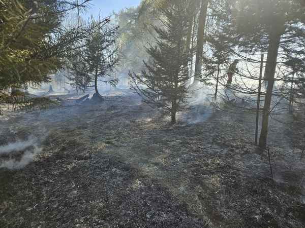FW-Velbert: Waldbrand in Velbert-Neviges
