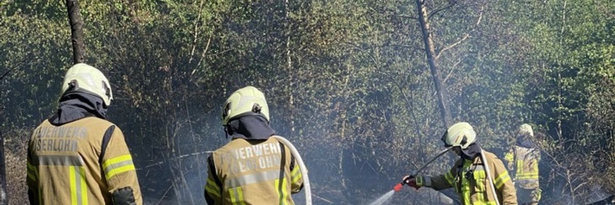FW-MK: Waldbrand auf der Rauhen Hardt