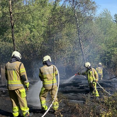 FW-MK: Waldbrand auf der Rauhen Hardt