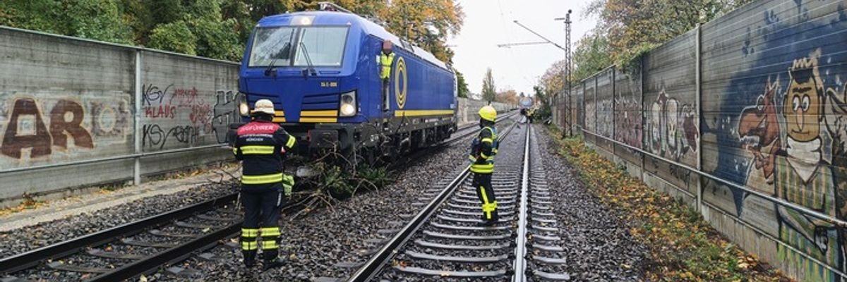 FW-M: Regionalzug kollidiert mit Baum (Giesing)