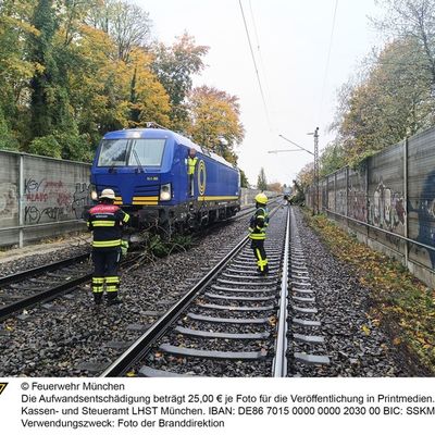 FW-M: Regionalzug kollidiert mit Baum (Giesing)